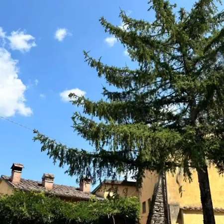 Chianti Classsico - Le Colonne *